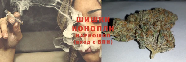 стафф Сясьстрой