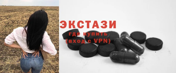 спиды Тайга