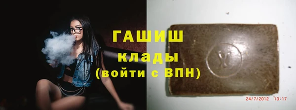 спиды Тайга