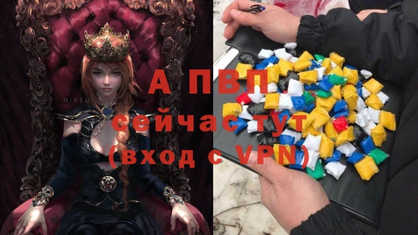 стафф Сясьстрой
