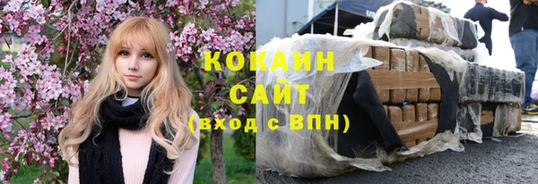стафф Сясьстрой