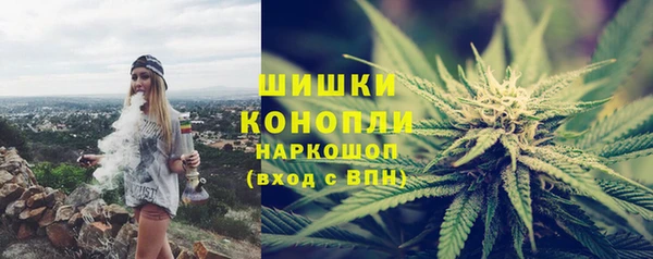 стафф Сясьстрой