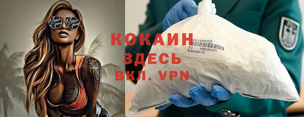 спиды Тайга