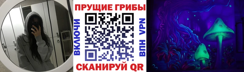 площадка формула  Волгоград  Псилоцибиновые грибы Psilocybine cubensis  как найти закладки 