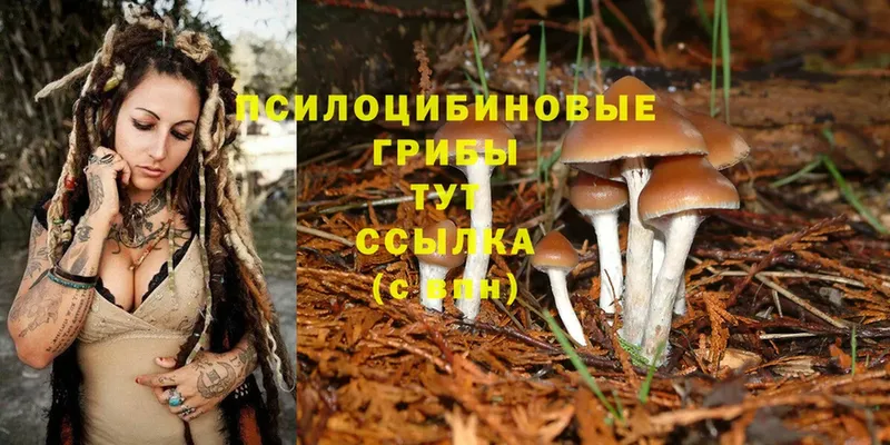 Псилоцибиновые грибы MAGIC MUSHROOMS  Волгоград 