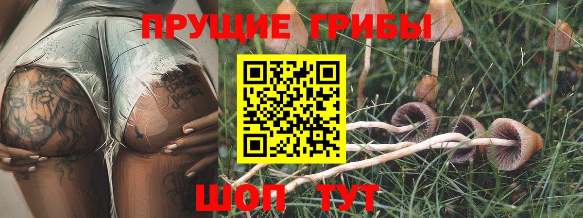 Псилоцибиновые грибы прущие грибы  Вход с VPN  Волгоград 