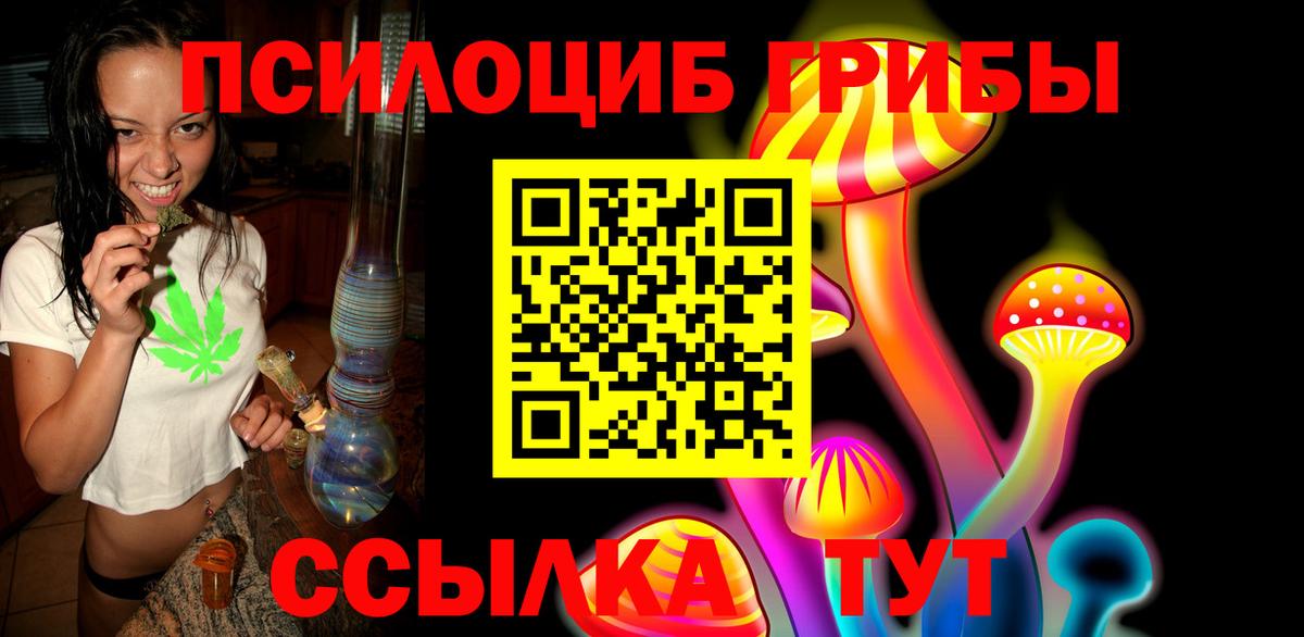 Псилоцибиновые грибы Psilocybine cubensis Волгоград